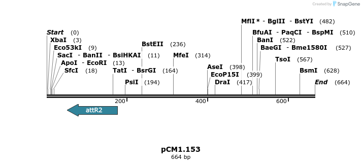 27174_map