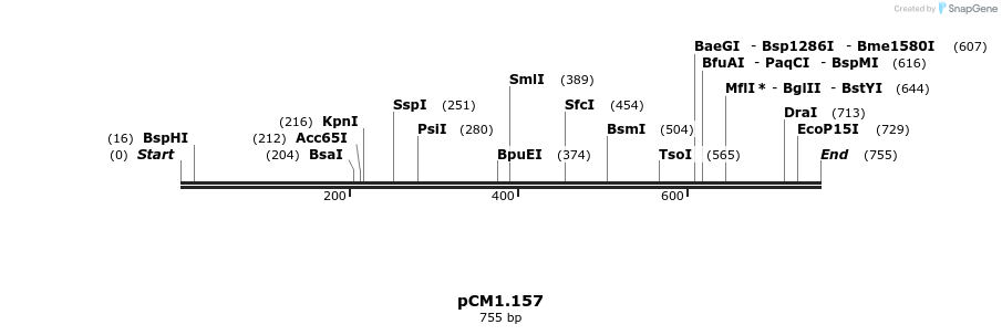 27175_map
