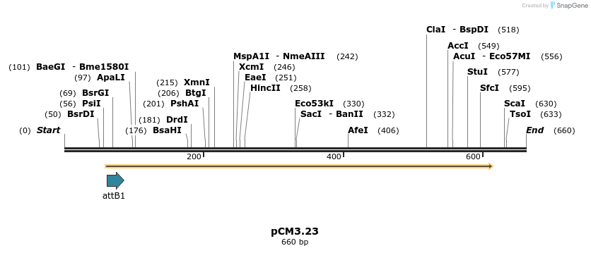 27176_map