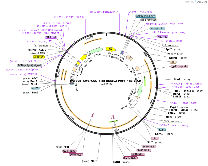 271774_map