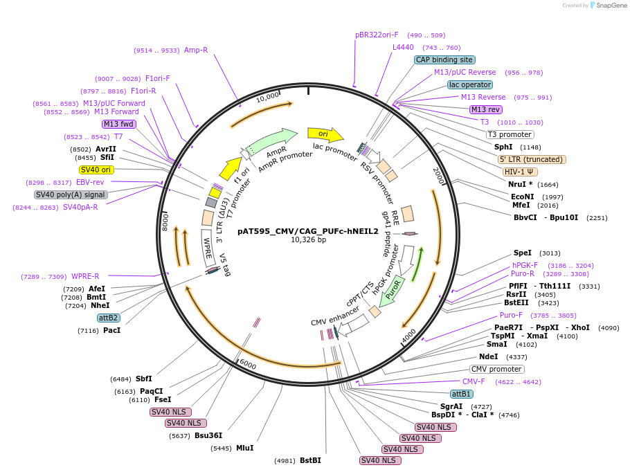 271777_map
