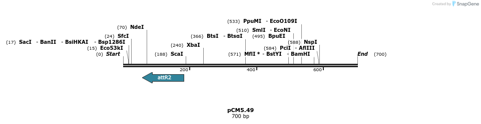 27178_map
