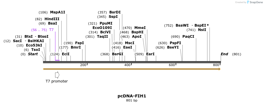 27180_map