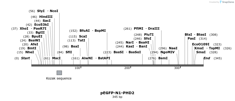 27182_map