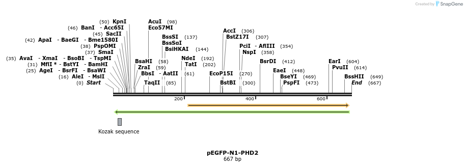 27183_map
