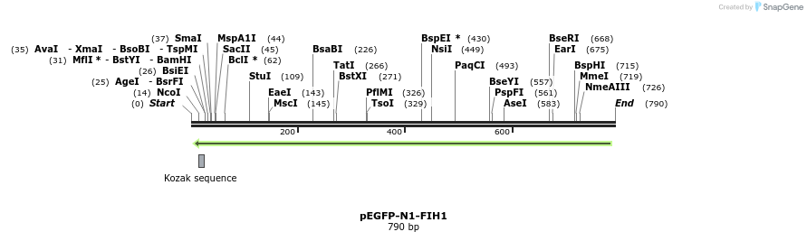 27185_map