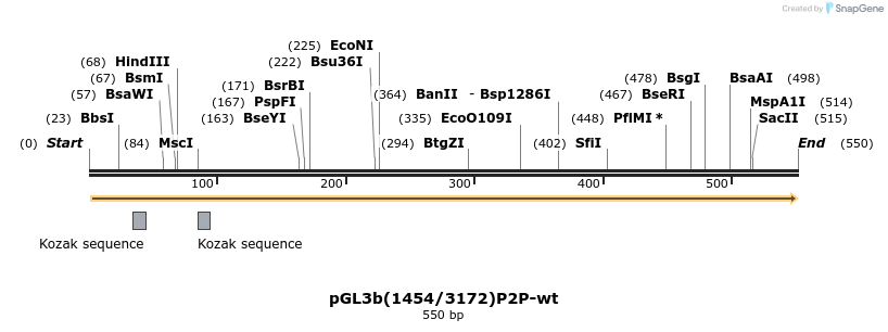 27186_map