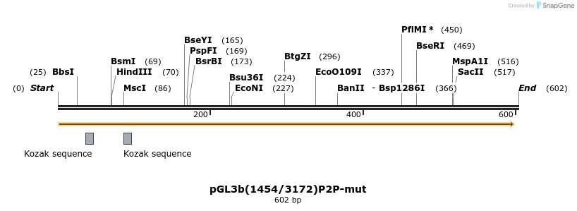 27187_map
