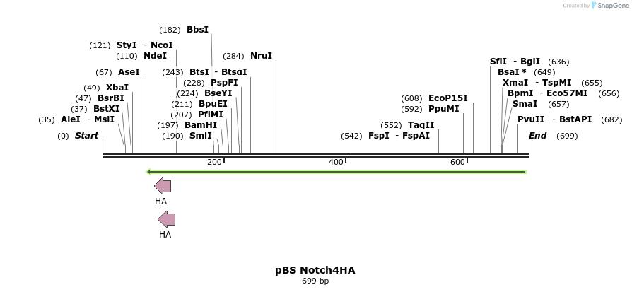 27192_map