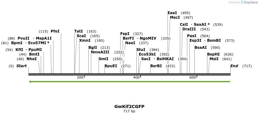 27201_map