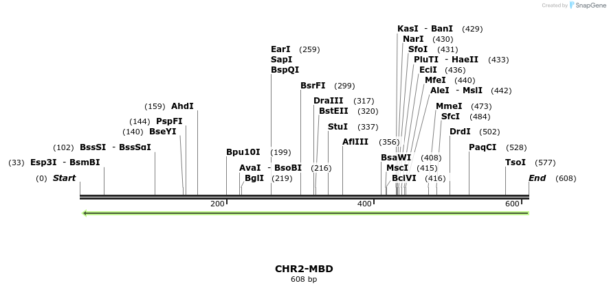 27209_map