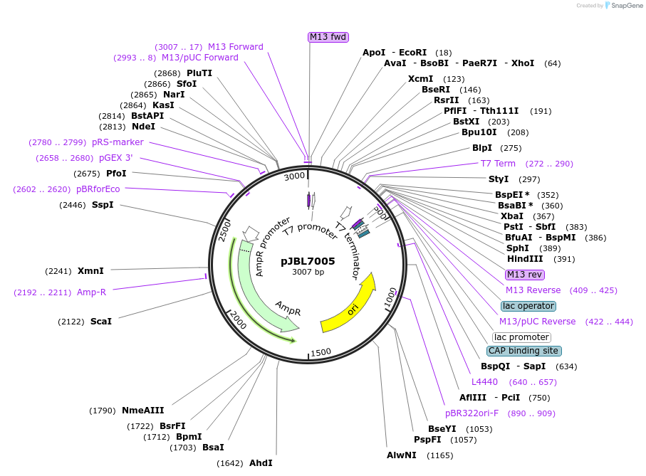 272112_map