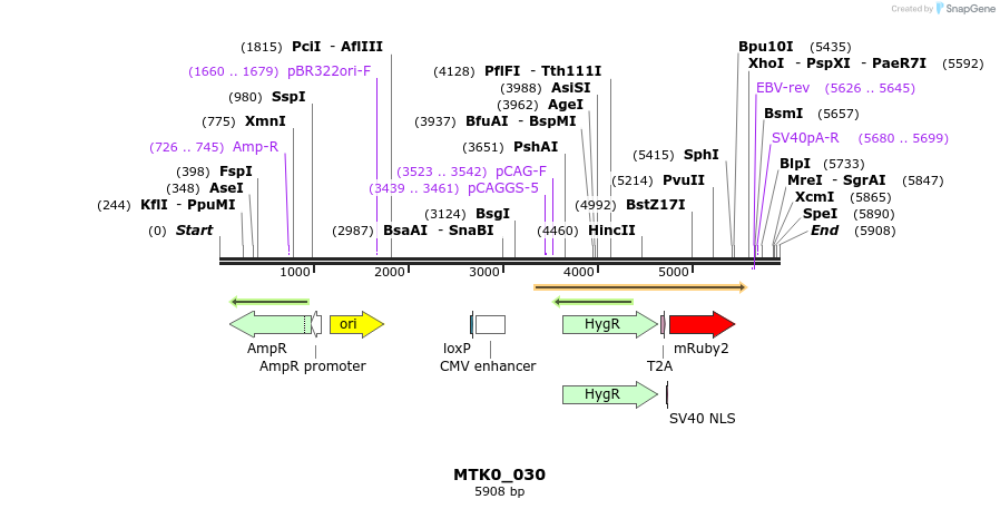 272158_map