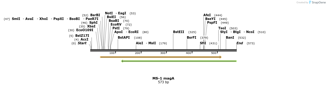 27216_map