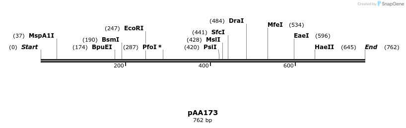 27217_map