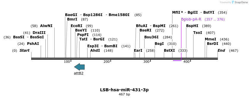 272175_map