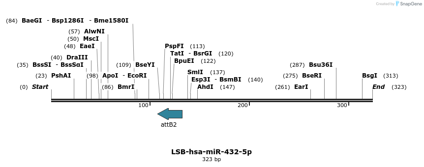 272179_map