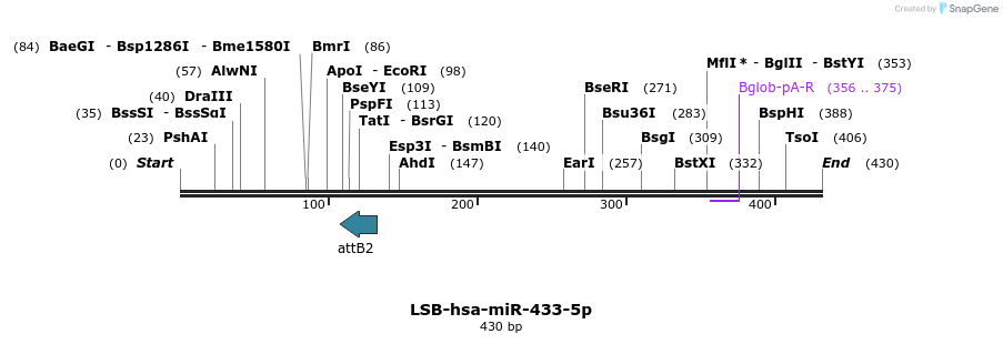 272184_map