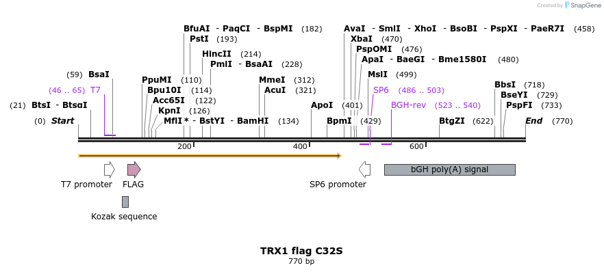 27219_map