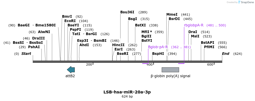 272195_map