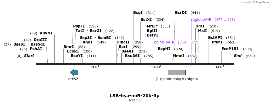 272200_map