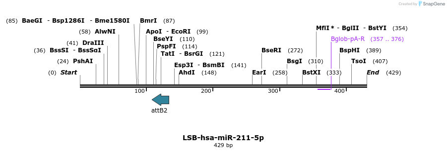 272211_map