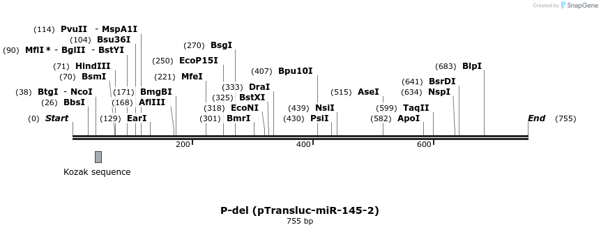 27222_map