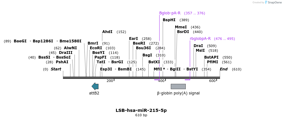 272220_map