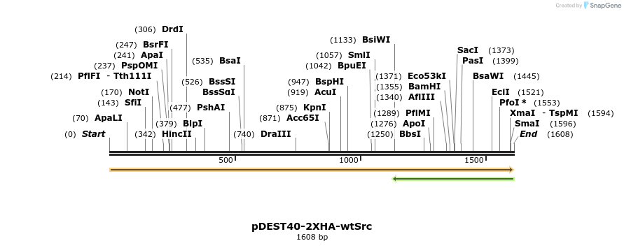 272222_map