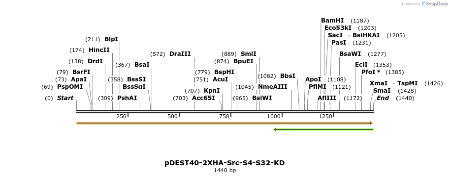 272226_map