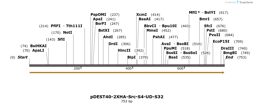 272230_map
