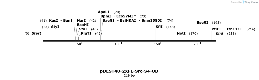 272233_map