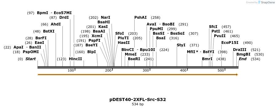 272237_map