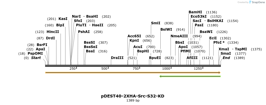 272238_map