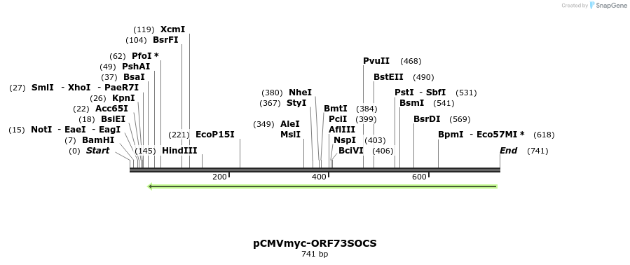 27224_map