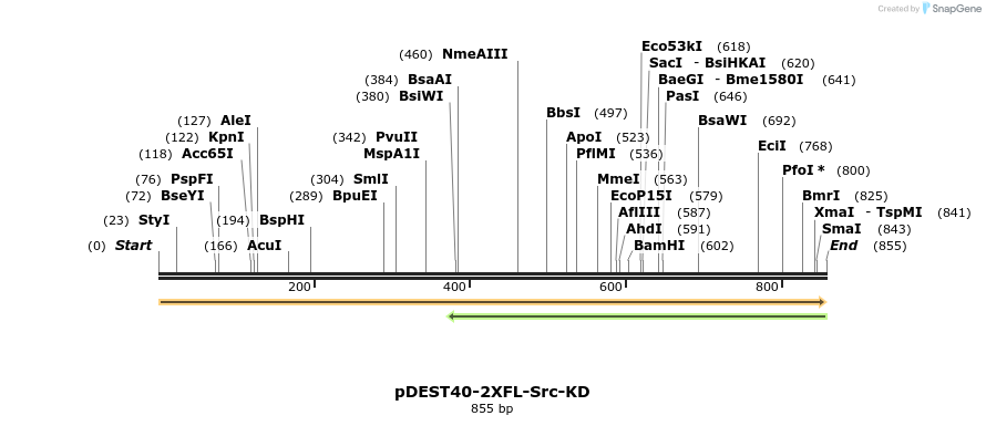 272241_map