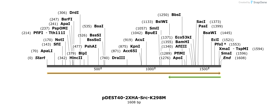 272242_map