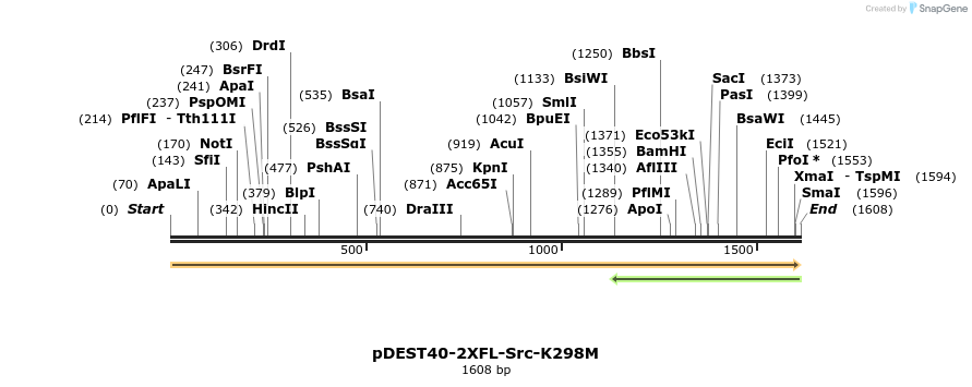 272243_map
