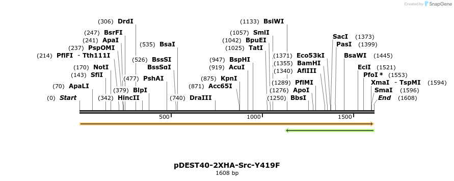 272244_map
