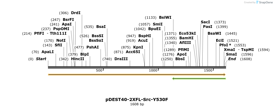 272247_map