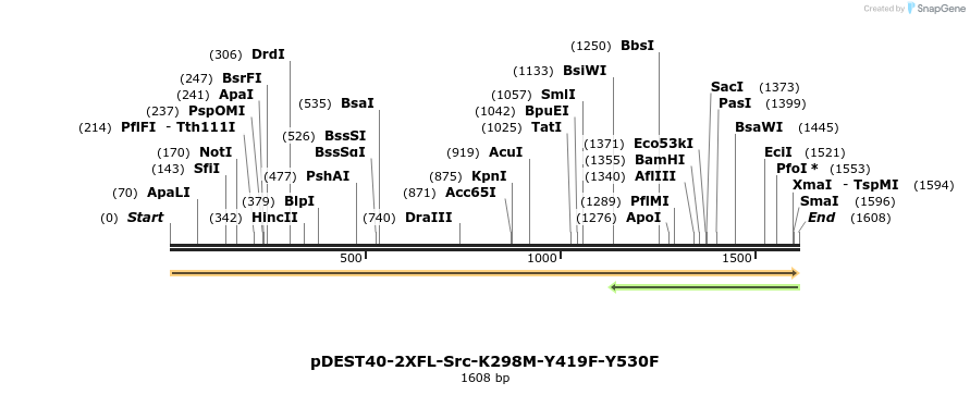 272249_map