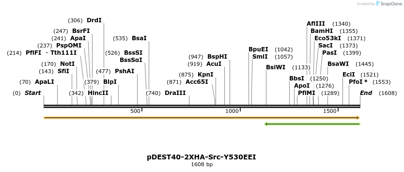 272250_map
