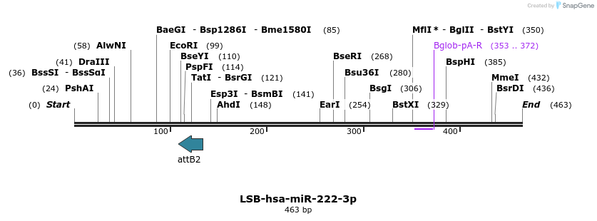 272267_map