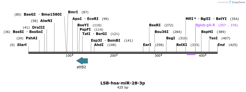 272290_map