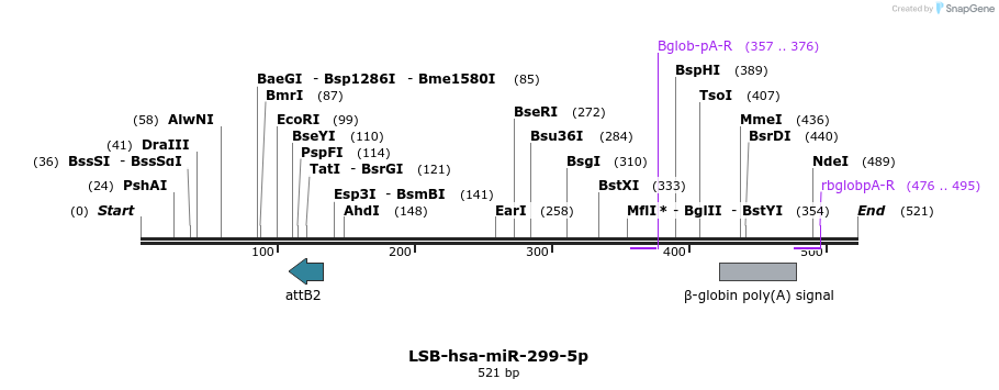 272301_map