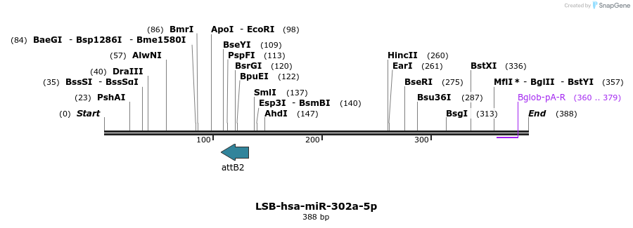 272312_map