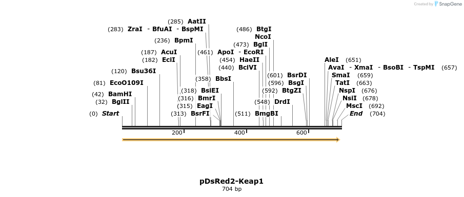 27232_map