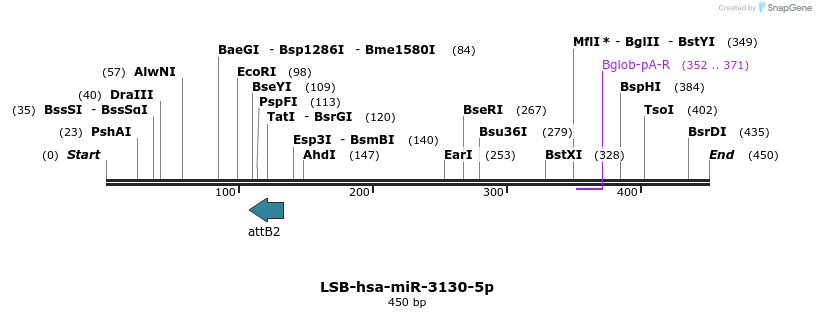 272331_map