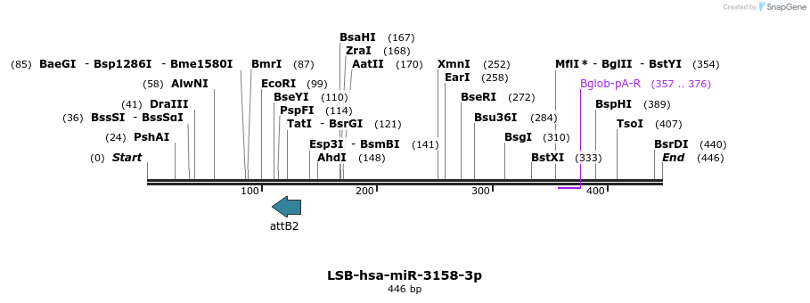 272336_map