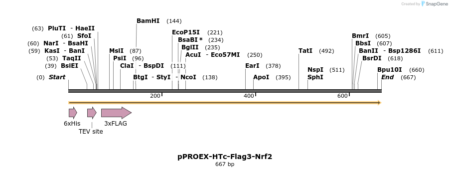 27234_map